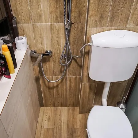 Victoriei Bricks Boekarest